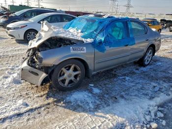  Salvage Nissan Maxima
