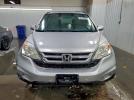 Honda Crv Exl Image 3