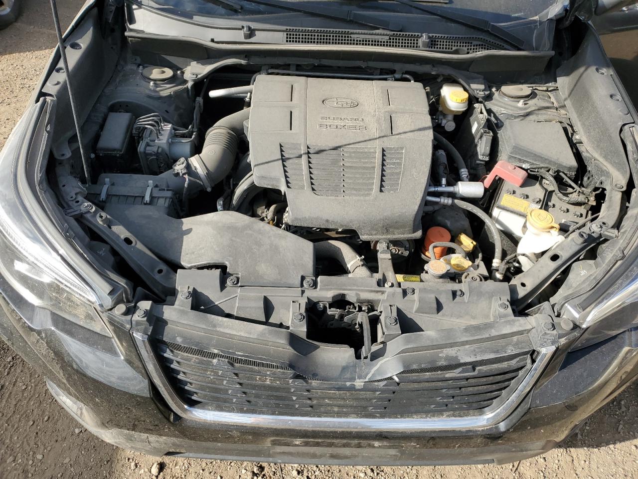 Subaru Forester Limited Image 12