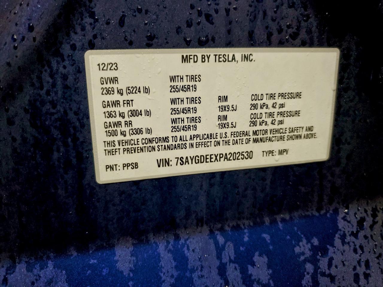 Tesla Model Y Image 12