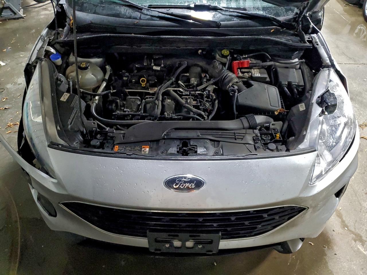 Ford Escape Sel Image 9