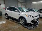 Ford Escape Sel Image 4