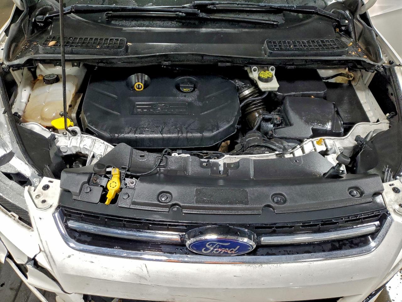 Ford Escape Sel Image 5