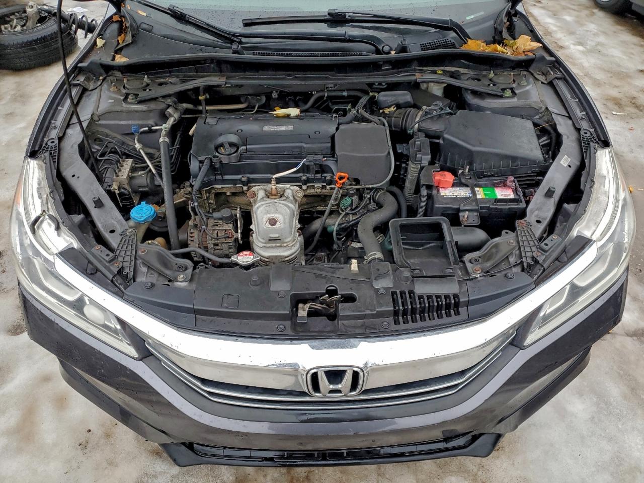 Honda Accord Exl Image 10