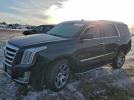 Cadillac Escalade Premium Image 1