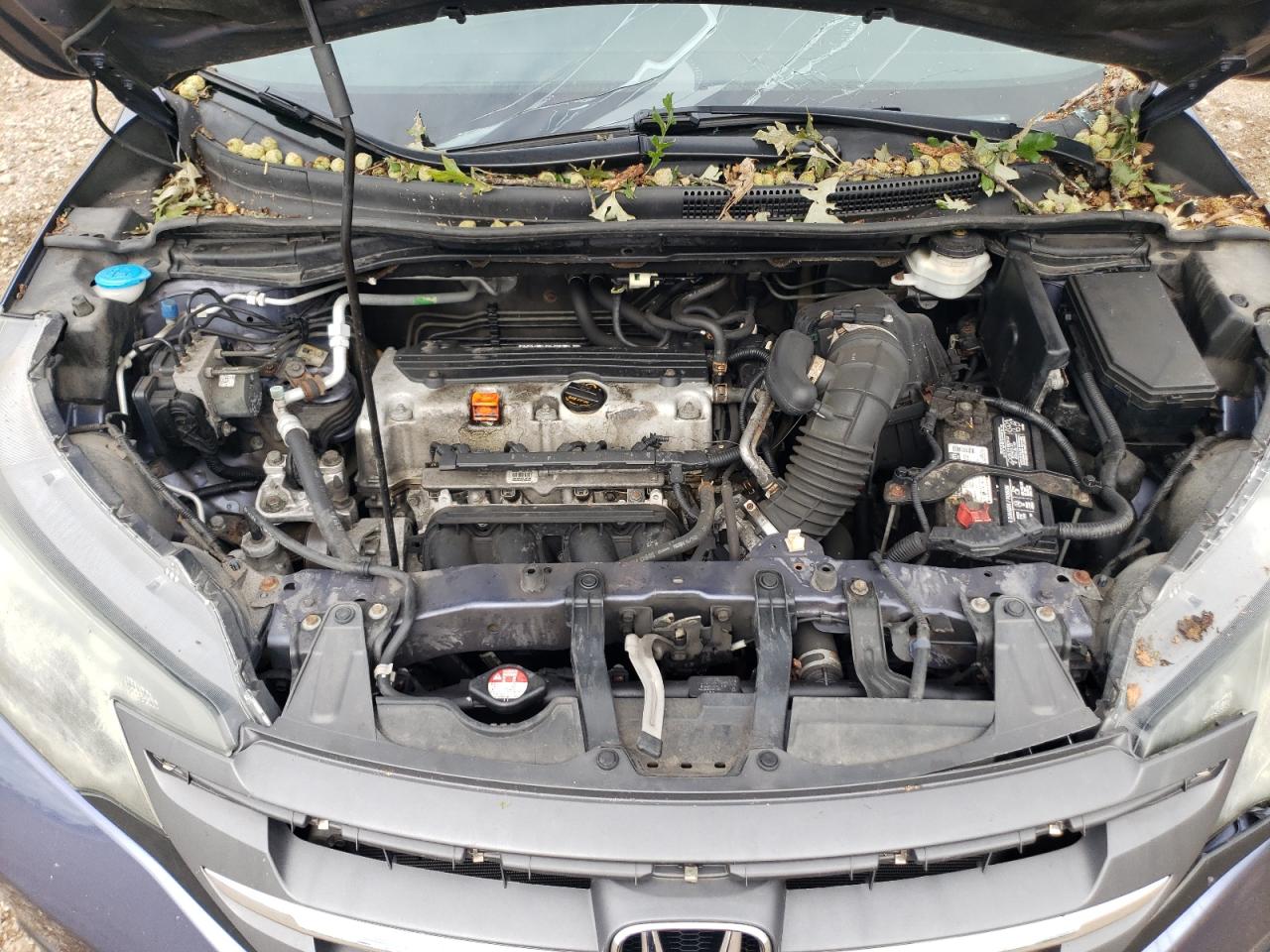 Honda Crv Exl Image 11