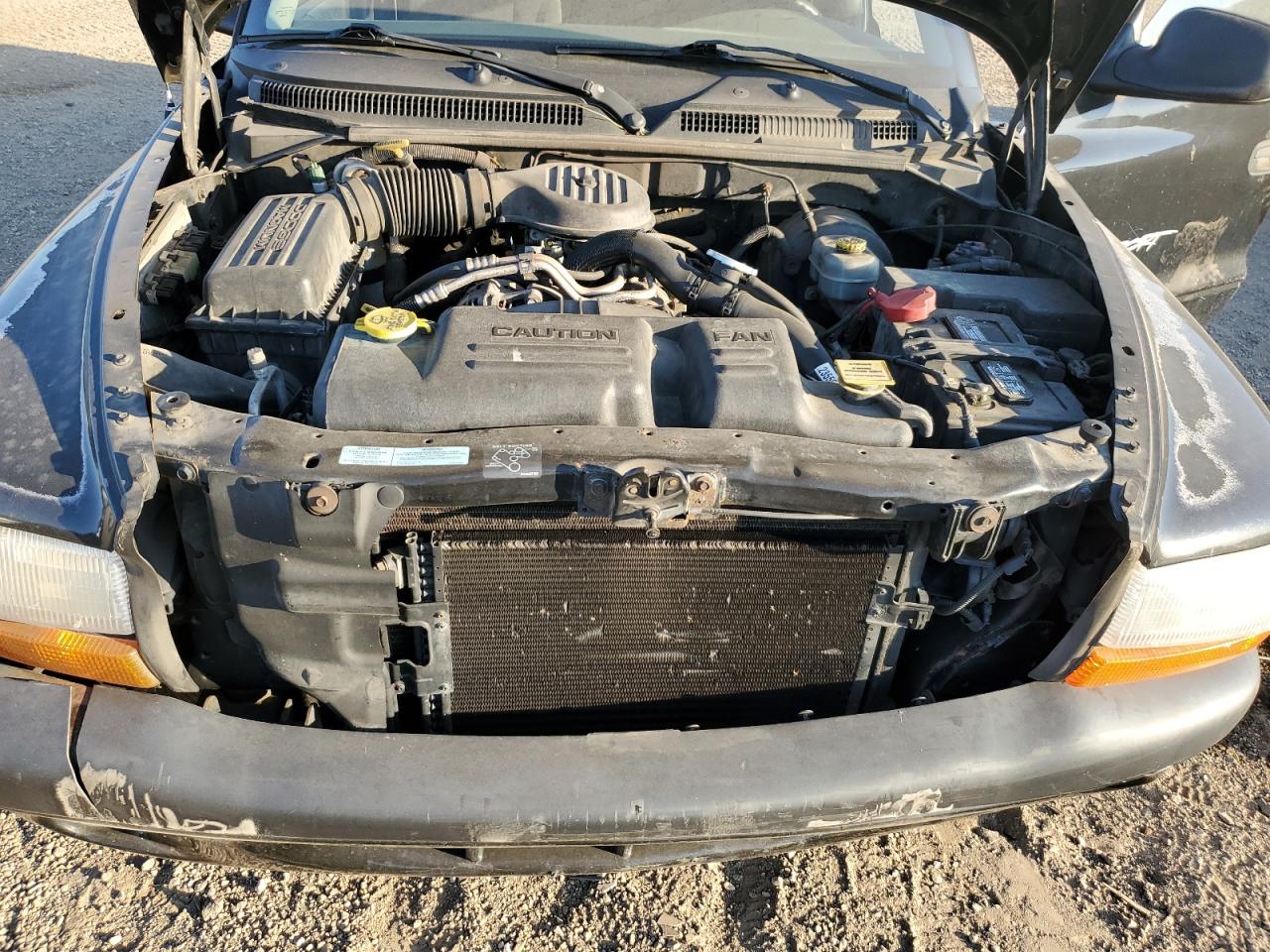 Dodge Dakota Quad Image 11