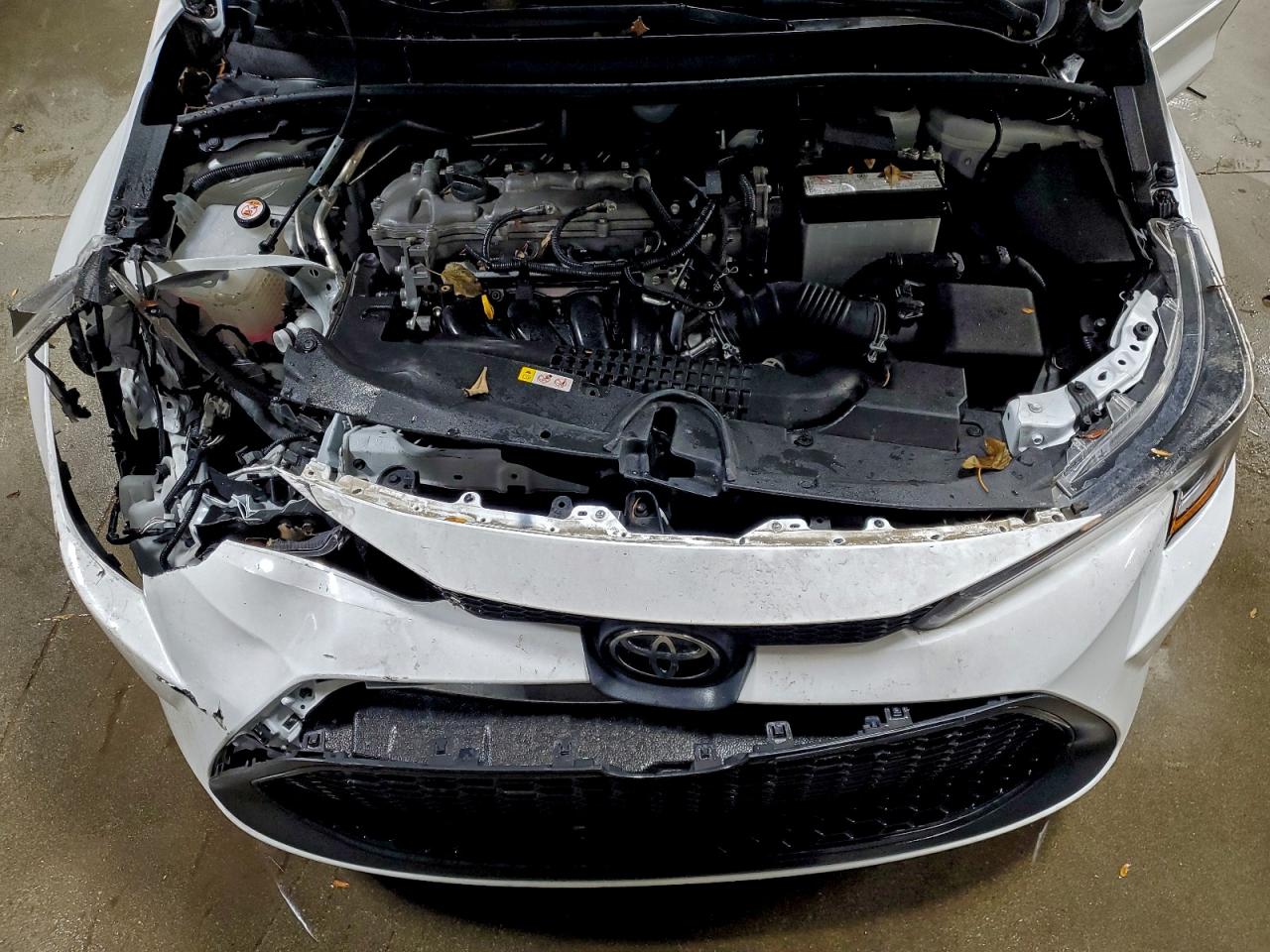 Toyota Corolla Le Image 9