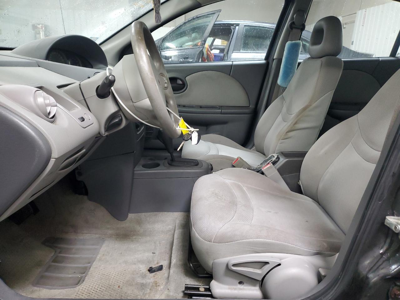 Saturn Ion Level 2 Image 6