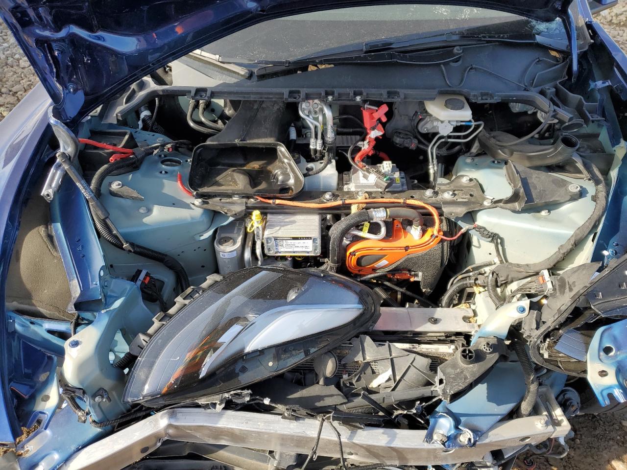 Tesla Model Y Image 8