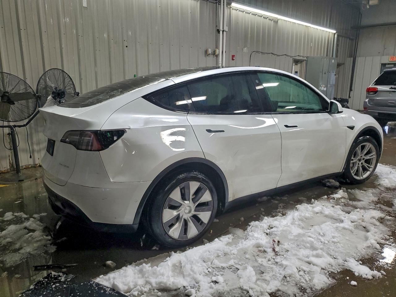 Tesla Model Y Image 5