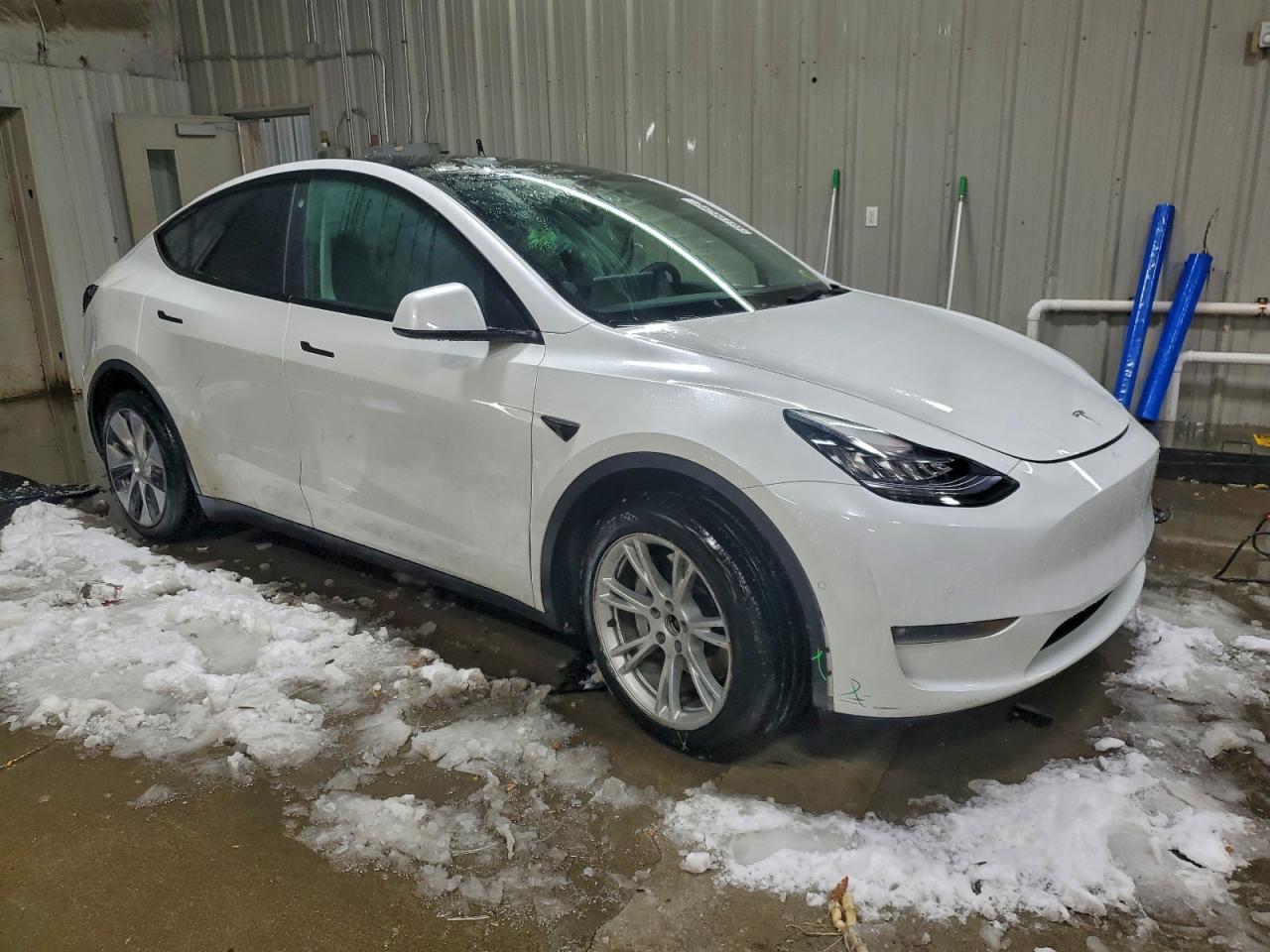 Tesla Model Y Image 7