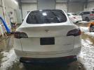 Tesla Model Y Image 4