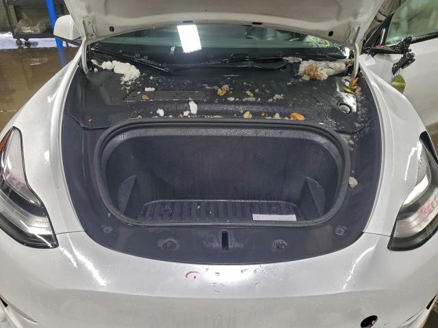 Tesla Model Y Image 2