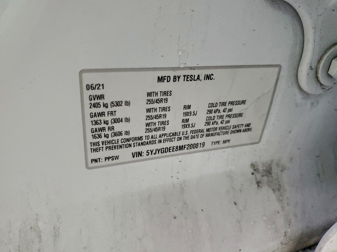 Tesla Model Y Image 11