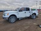 Ford F-150 Supercrew Image 1