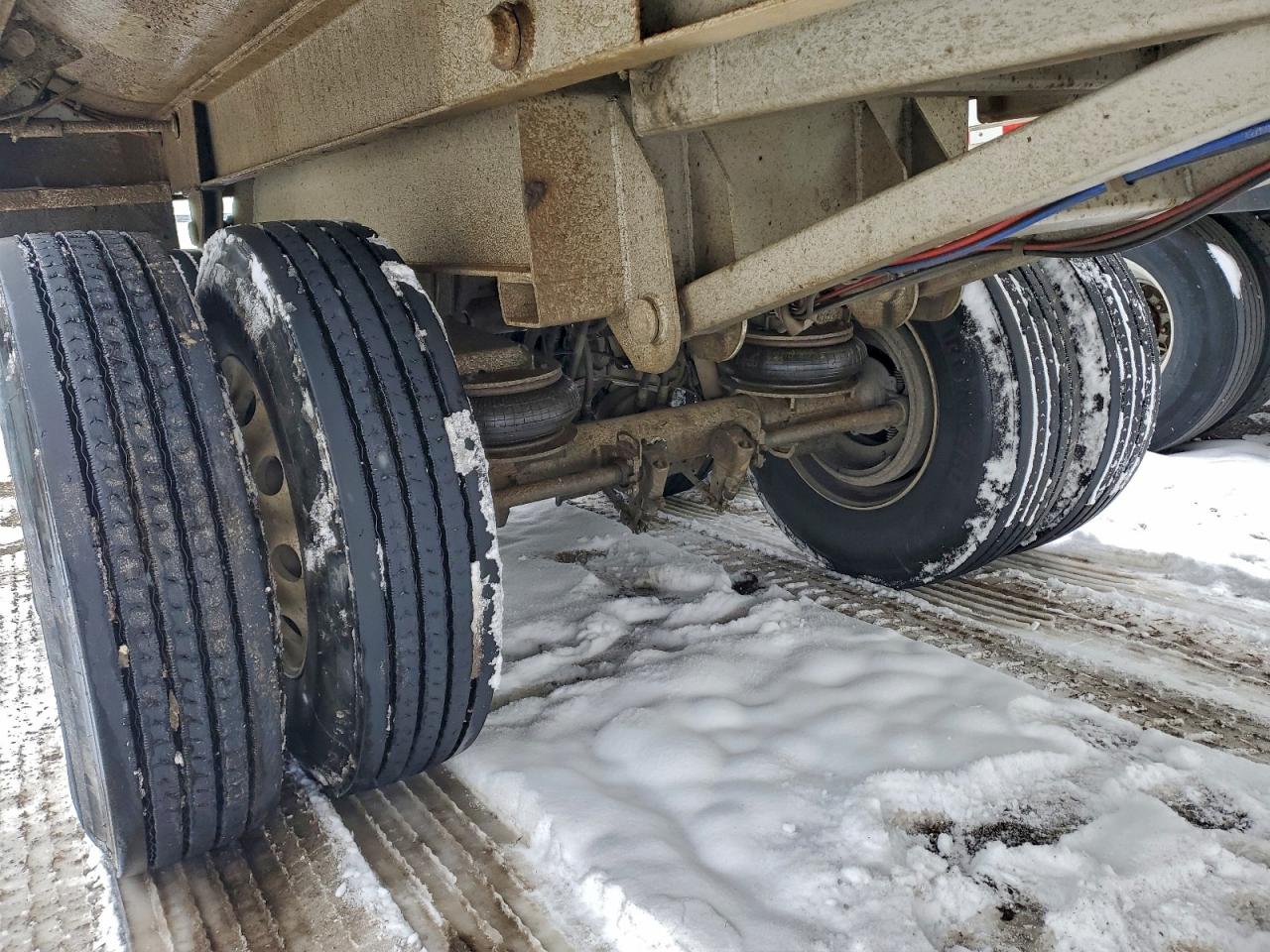 Coras Predator Image 4