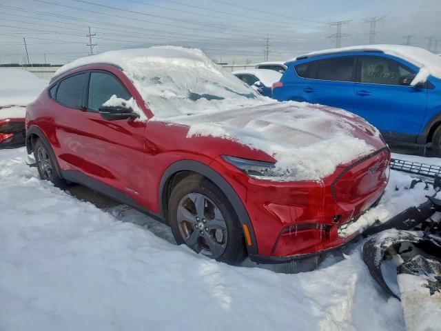 Ford Mustang Select Image 2