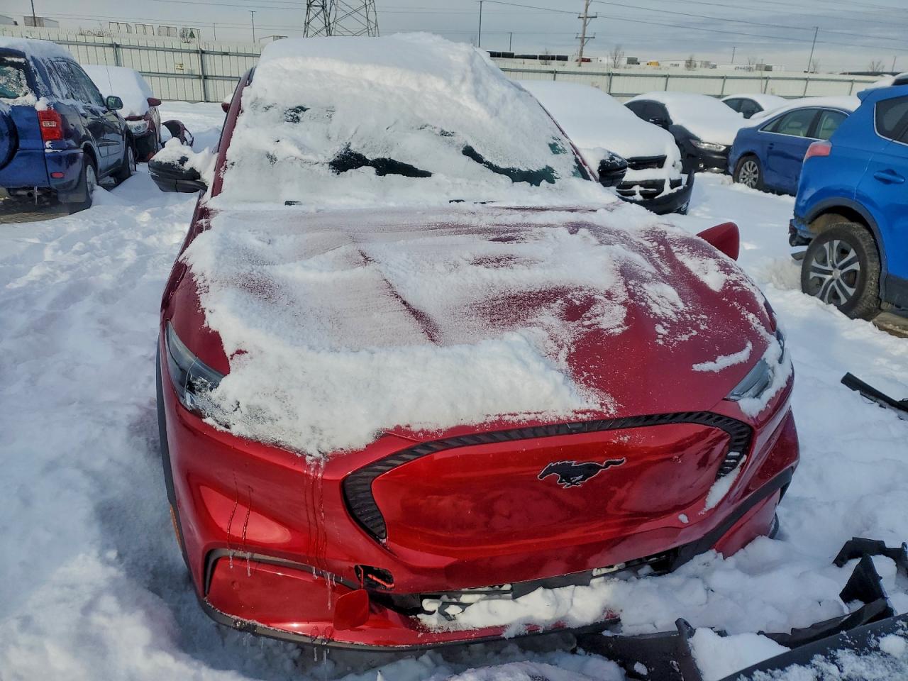 Ford Mustang Select Image 4