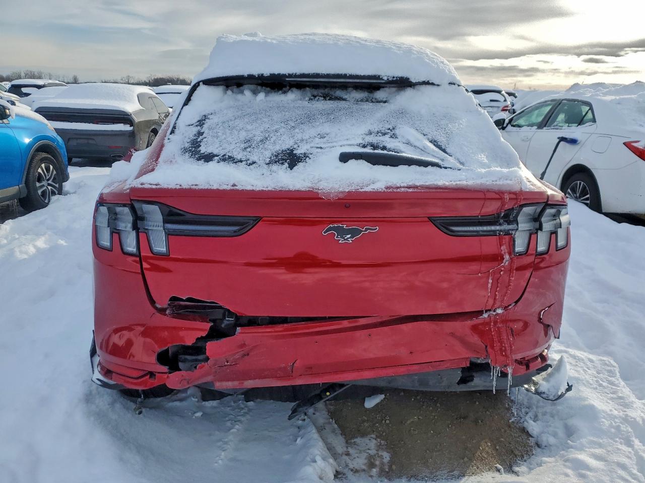 Ford Mustang Select Image 6