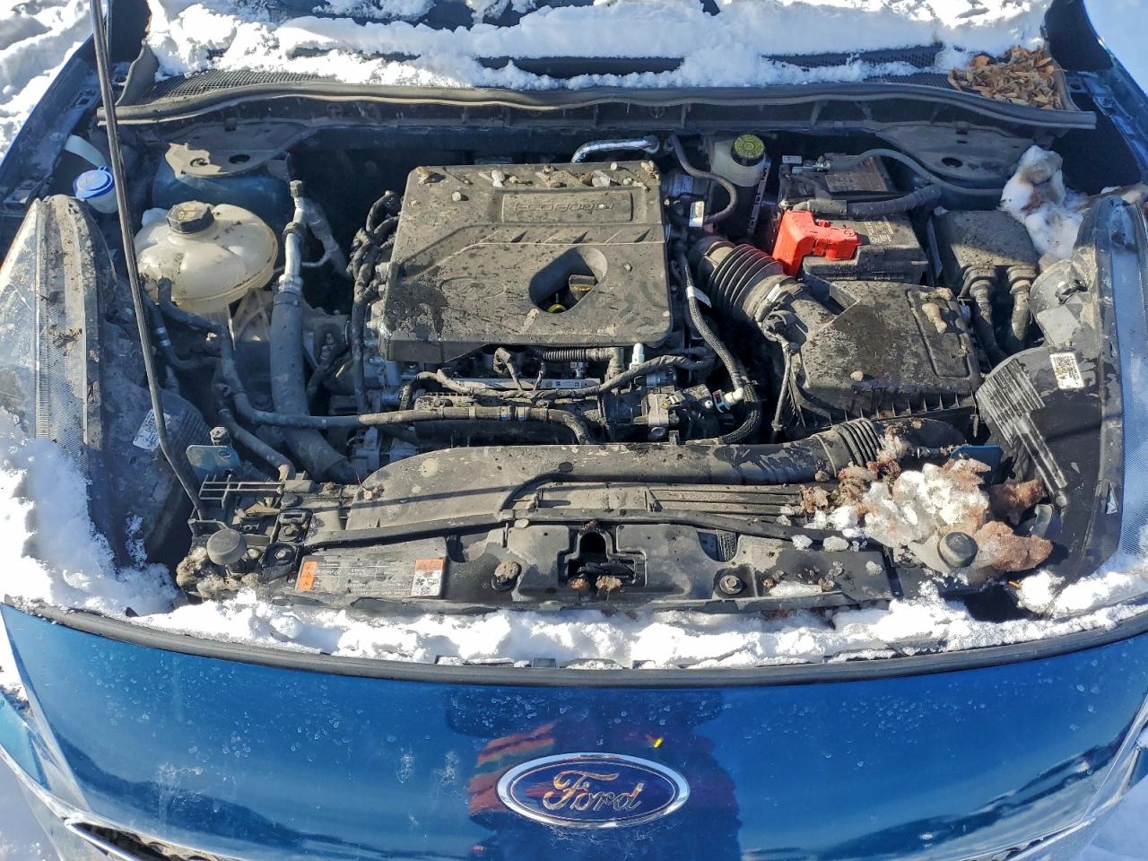 Ford Escape Se Image 10