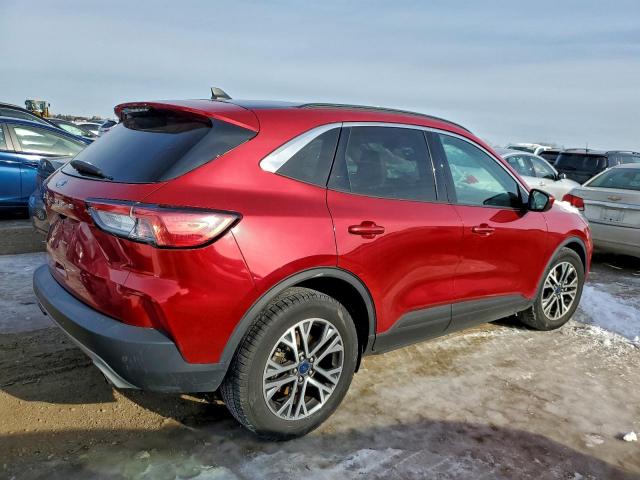 Ford Escape Sel Image 5