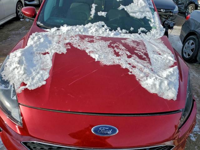 Ford Escape Sel Image 12