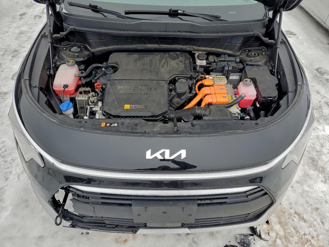 Kia Niro Ex Image 10