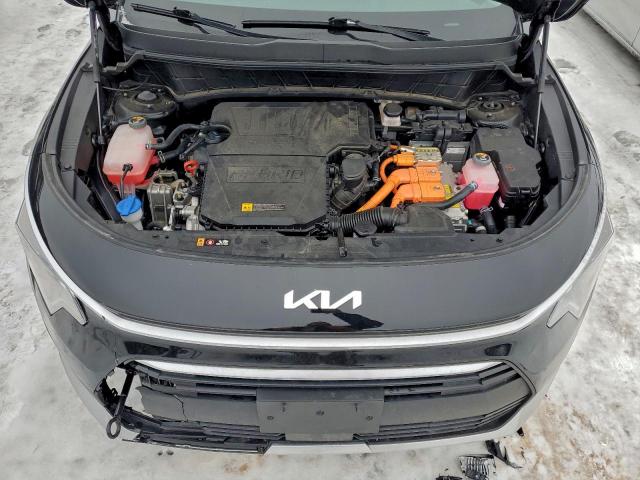 Kia Niro Ex Image 10
