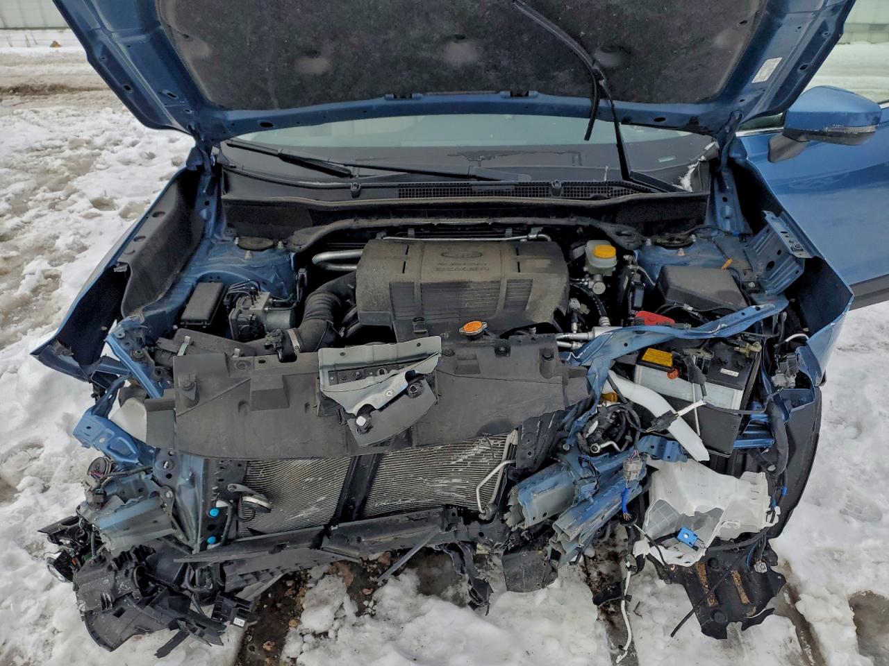 Subaru Forester Limited Image 5