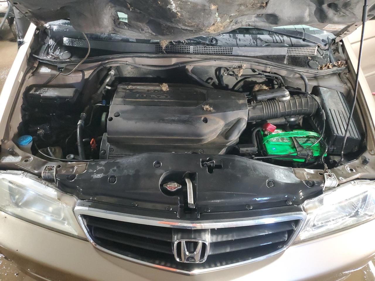 Honda Odyssey Exl Image 9
