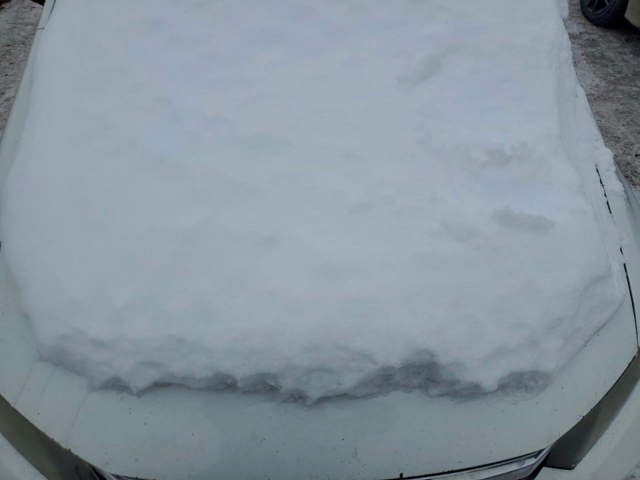 Honda Civic Hf Image 4