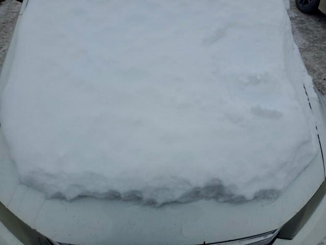 Honda Civic Hf Image 4