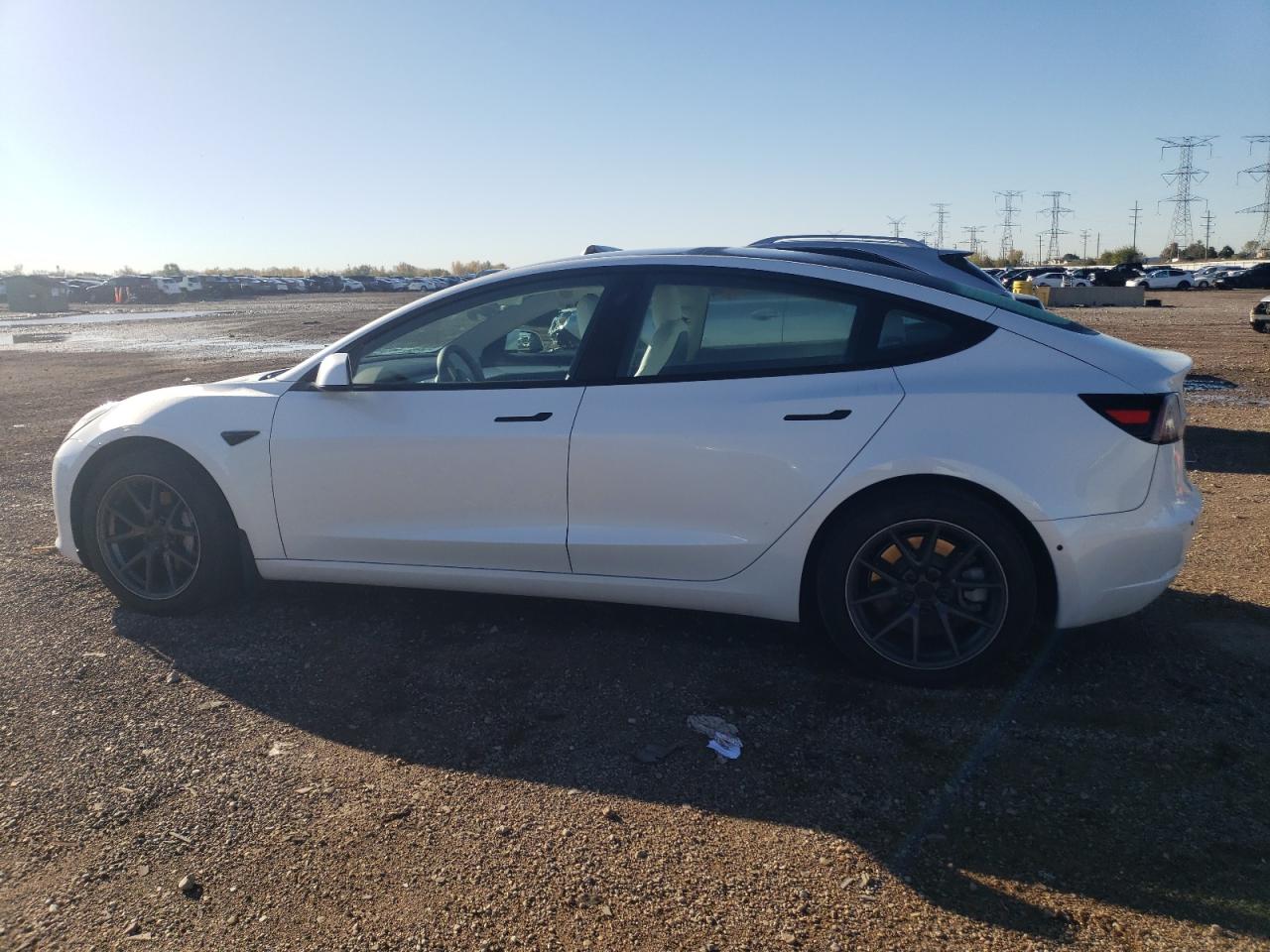 Tesla Model 3 Image 2