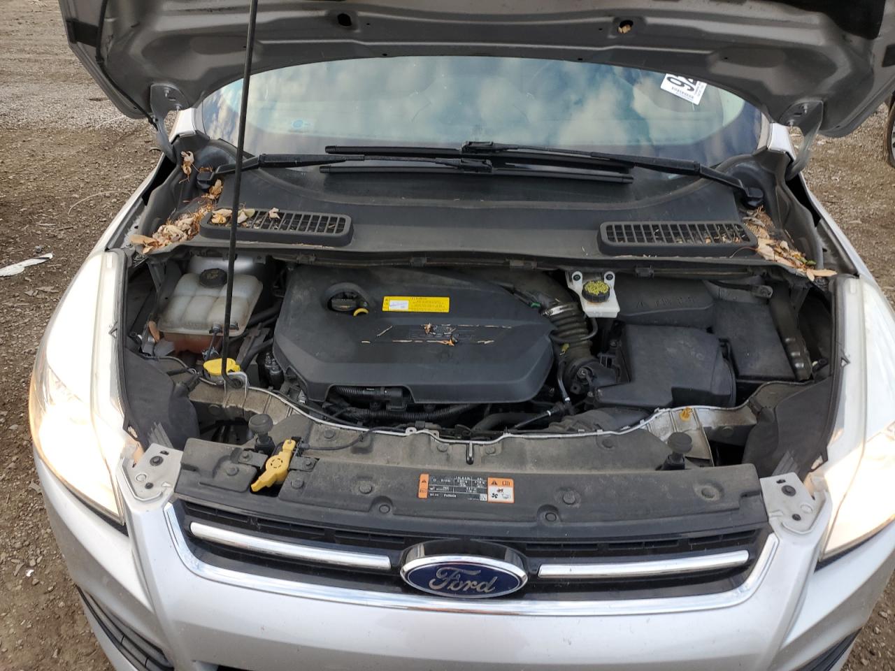 Ford Escape Titanium Image 6