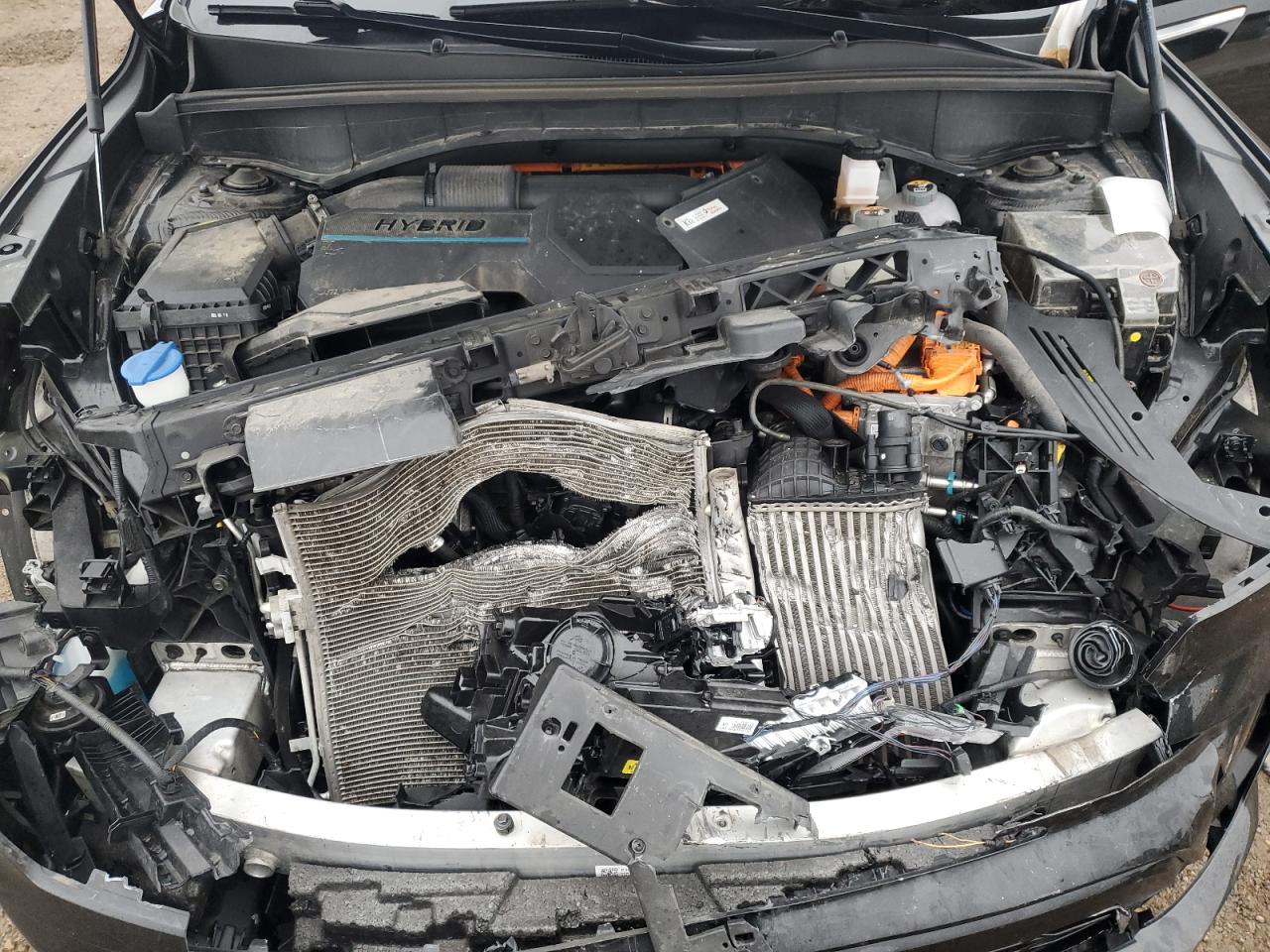 Kia Sorento Sx Image 5