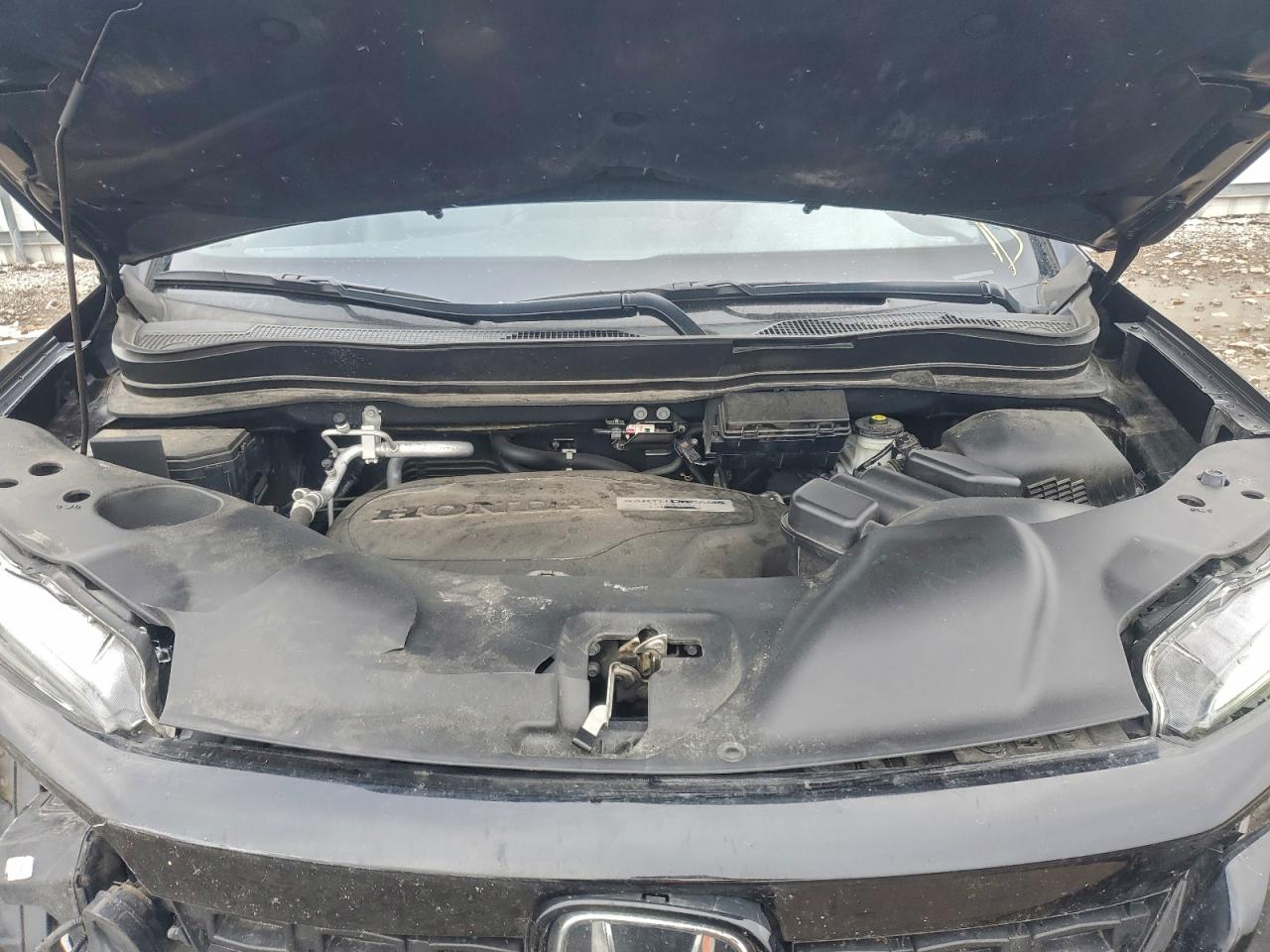 Honda Passport Exl Image 8