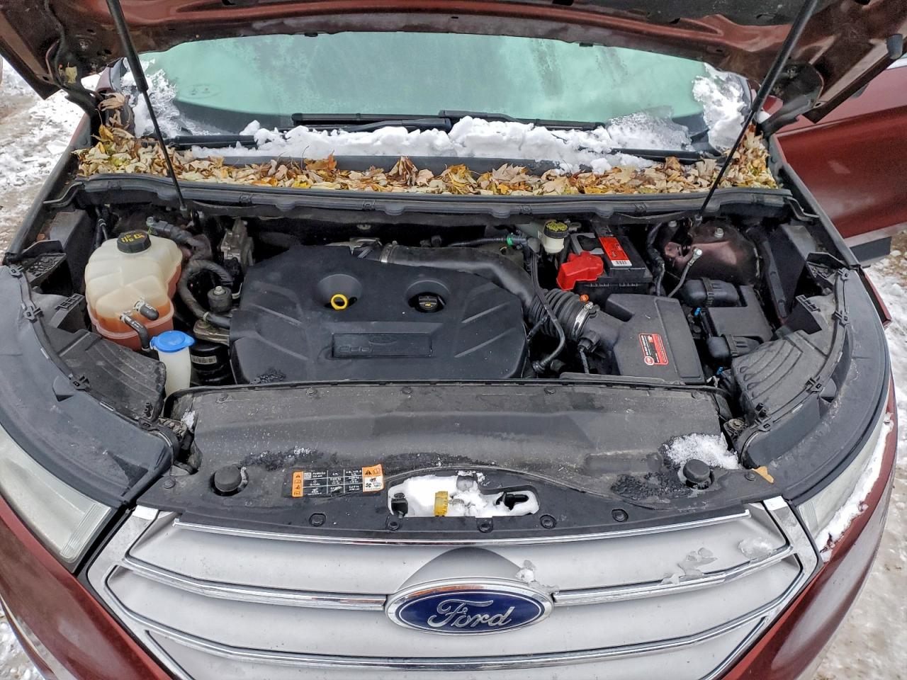 Ford Edge Sel Image 8
