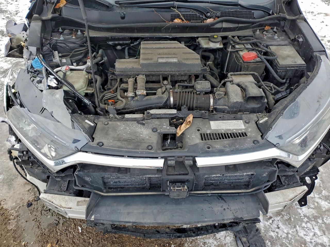 Honda Crv Exl Image 5