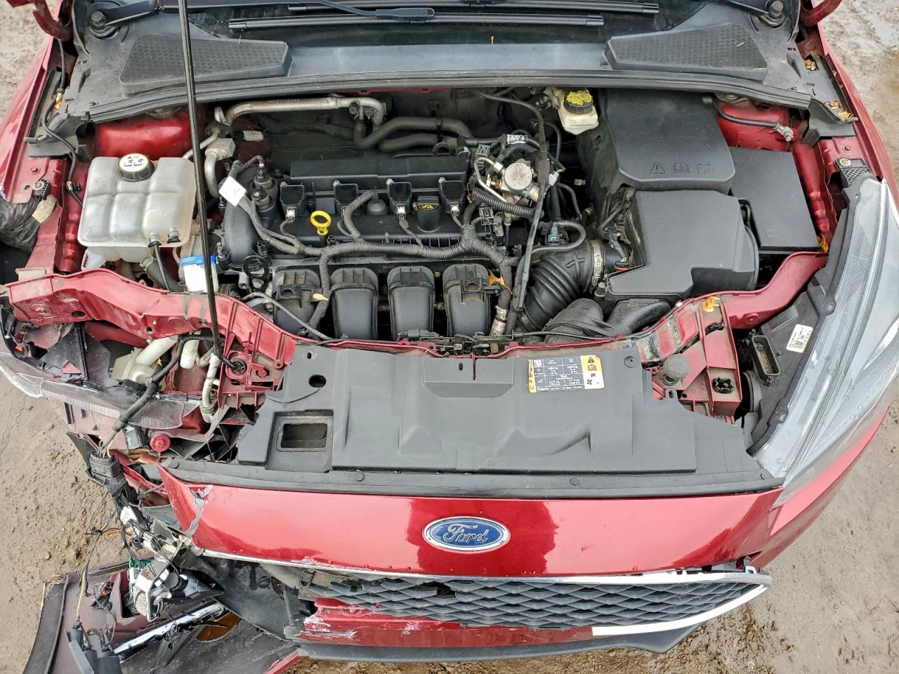 Ford Focus Sel Image 5