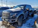 Ford F-150 Svt Raptor Image 1