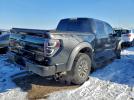 Ford F-150 Svt Raptor Image 3