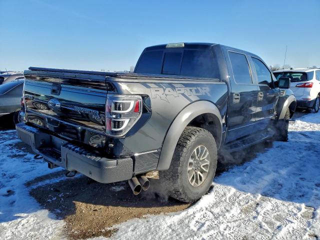Ford F-150 Svt Raptor Image 3