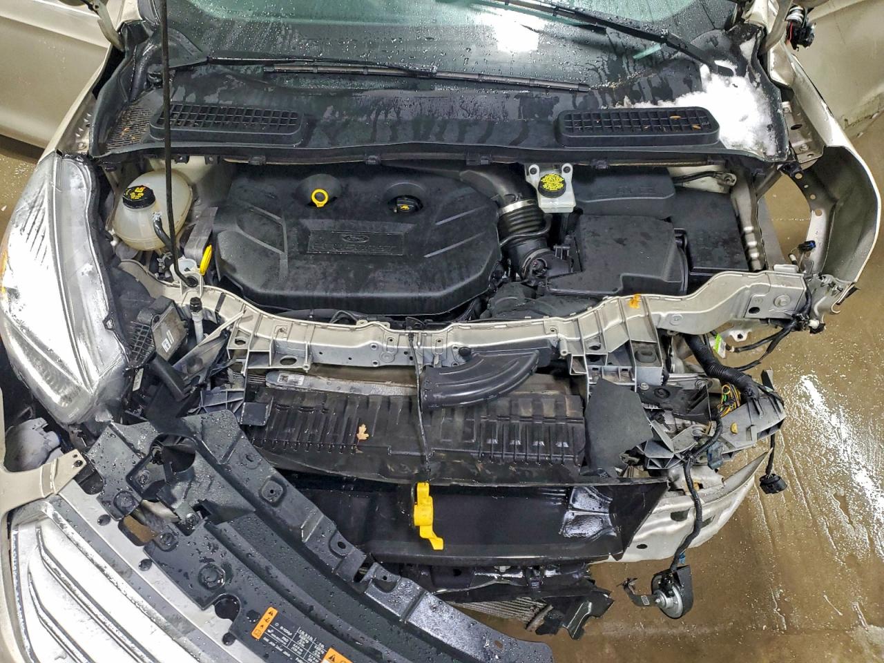 Ford Escape Titanium Image 9