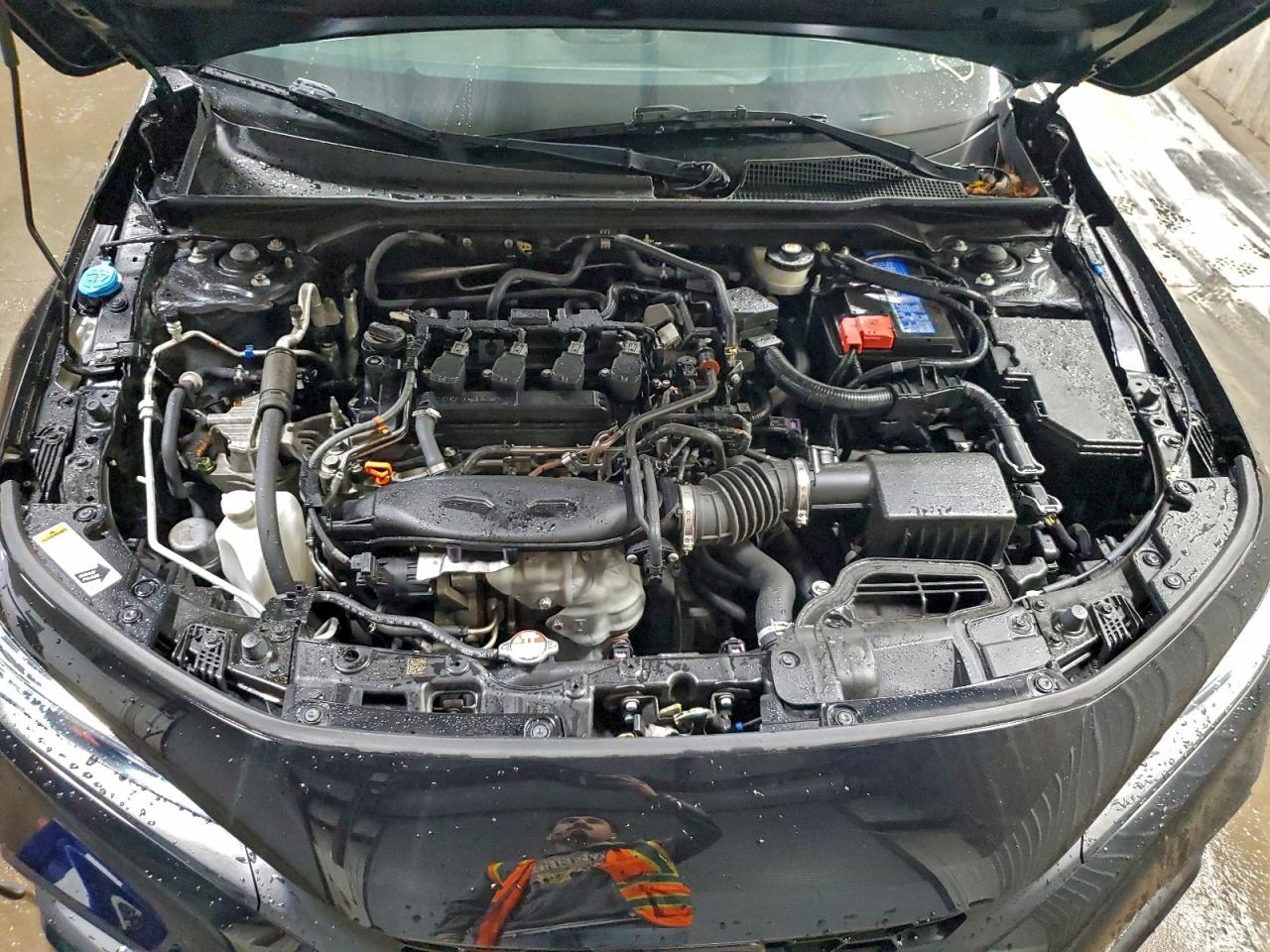 Honda Civic Exl Image 6