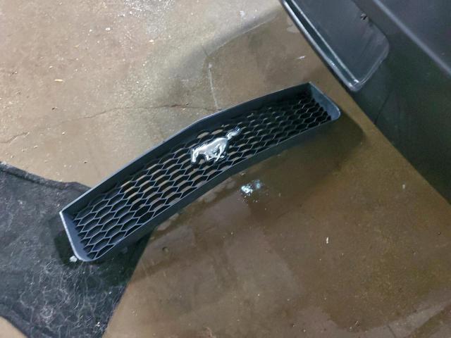 Ford Mustang Image 11