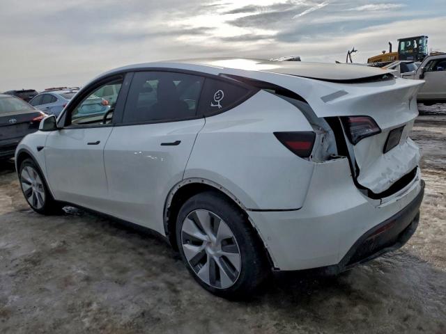 Tesla Model Y Image 2