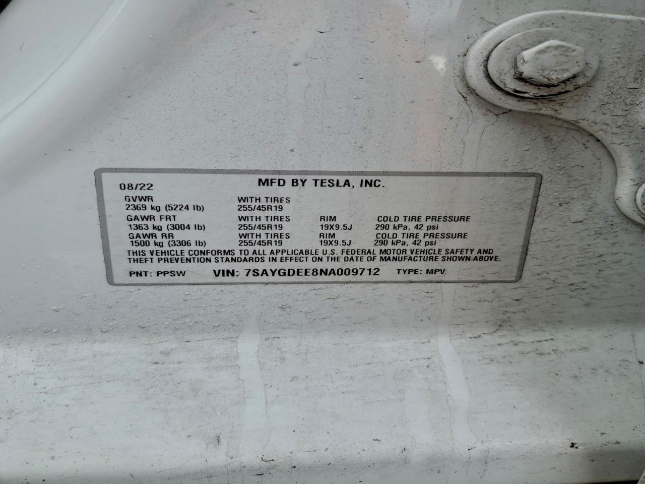 Tesla Model Y Image 6