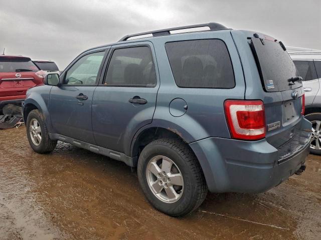 Ford Escape Xlt Image 6