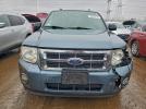 Ford Escape Xlt Image 7